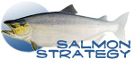 salmonstrategy